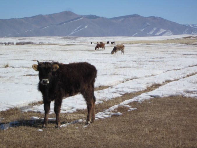 Mongolia: 2015-17
